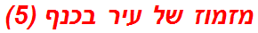מזמוז של עיר בכנף (5)