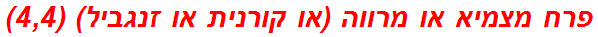 פרח מצמיא או מרווה (או קורנית או זנגביל) (4,4)