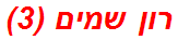 רון שמים (3)