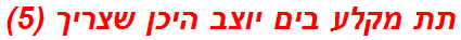 תת מקלע בים יוצב היכן שצריך (5)
