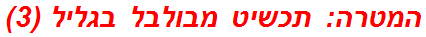 המטרה: תכשיט מבולבל בגליל (3)