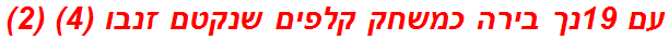 עם 19נך בירה כמשחק קלפים שנקטם זנבו (4) (2)